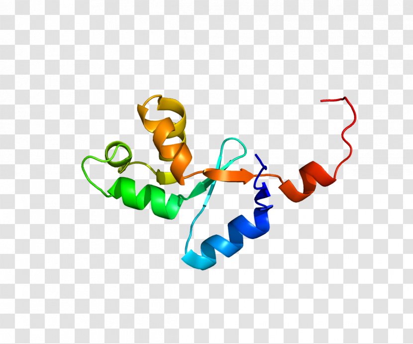 OCA2 Hect Domain And RLD 2 Gene Protein Mutation - Silhouette - Frame Transparent PNG