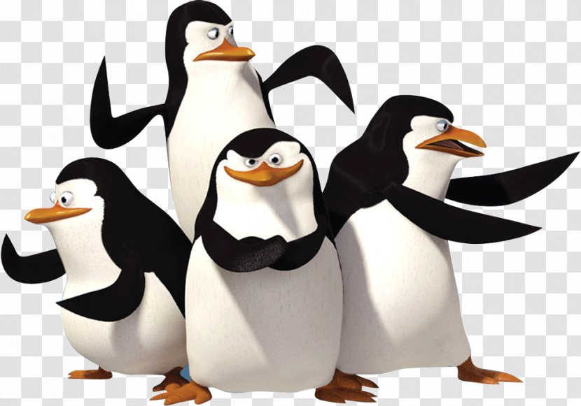 Penguin Madagascar DreamWorks Spin-off Film - Penguins Of - Cartoon Transparent PNG