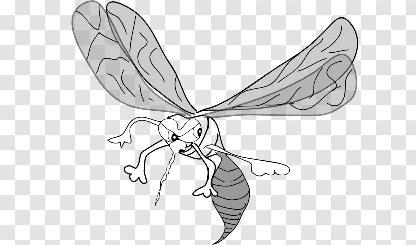 Mosquito Drawing Line Art Clip - Frame - Cliparts Transparent PNG