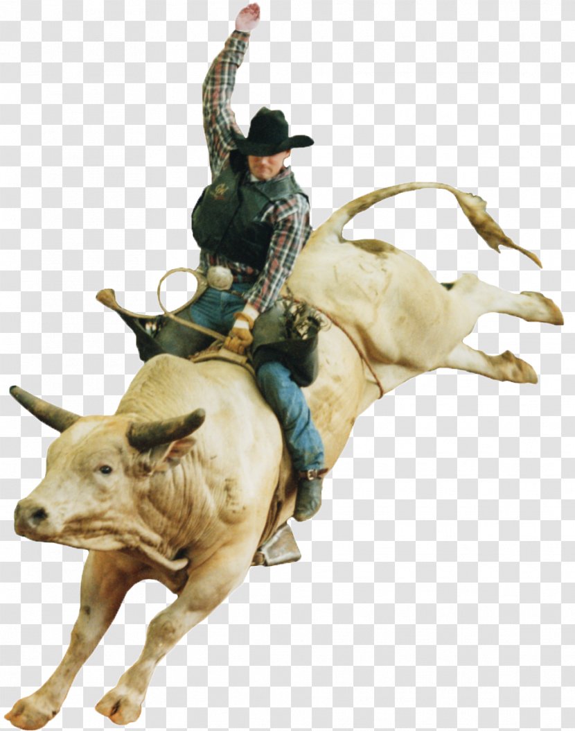 Calf Roping Professional Rodeo Cowboys Association Bull Riding - Equestrian Transparent PNG