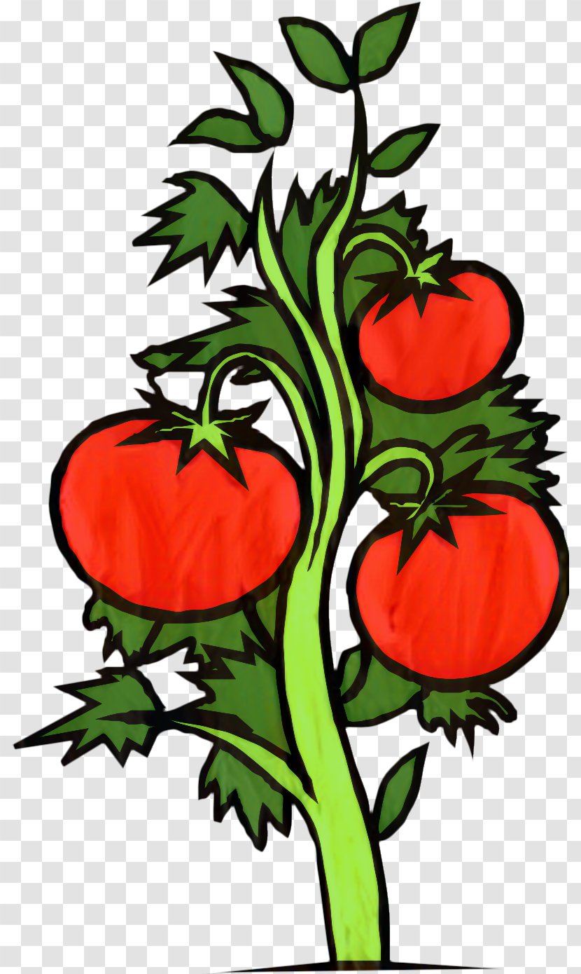 Leaf Drawing - Food - Solanum Flower Transparent PNG