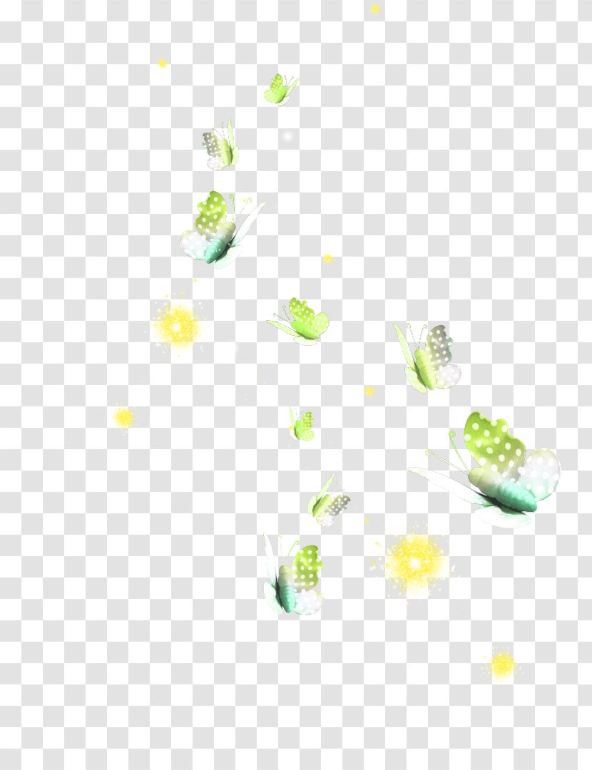 Desktop Wallpaper Flower Petal - Green - Watercolor Butterfly Transparent PNG