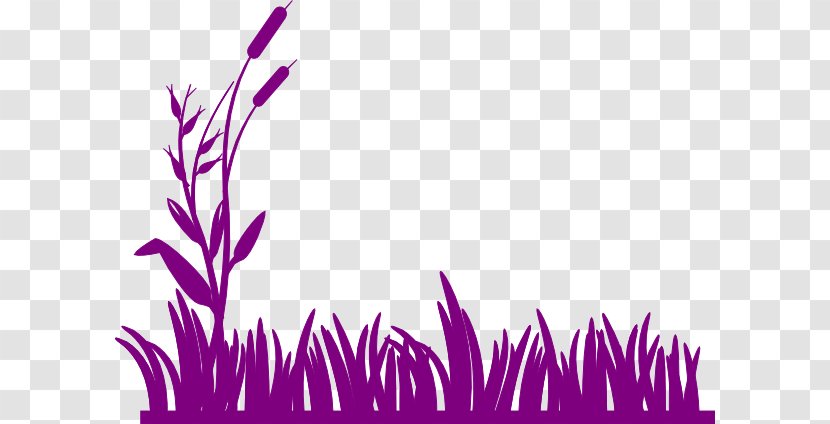 Wetland Swamp Clip Art - Cattail - Free Grass Cliparts Transparent PNG