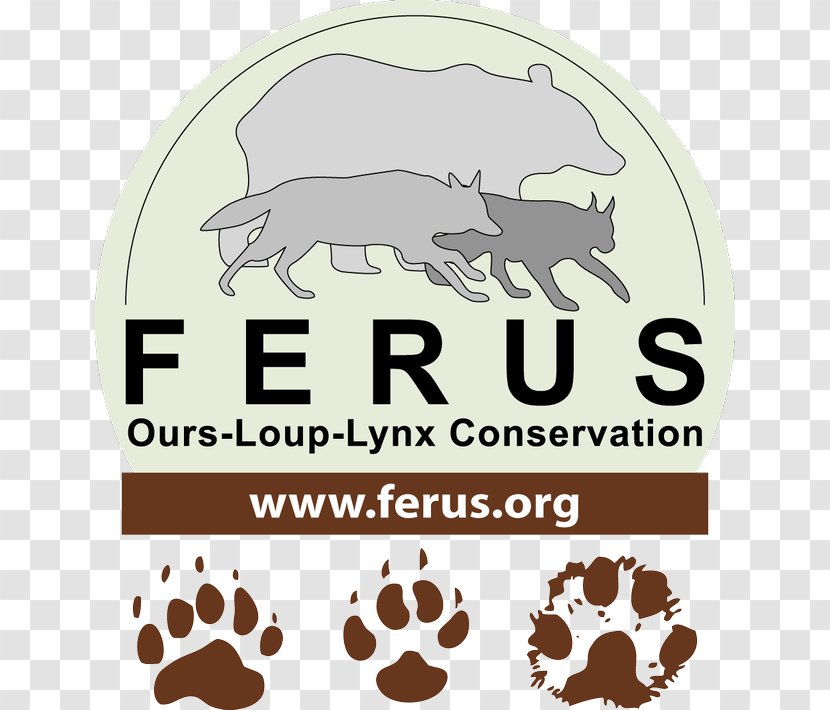 Les Droits De L'animal Logo France Gray Wolf Font - Menu Brochure Transparent PNG