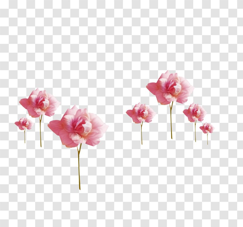Rose Flower Painting Pink Paper - White Transparent PNG