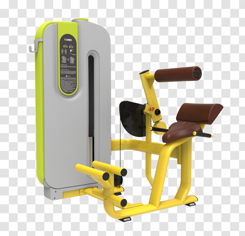 Fitness Centre Exercise Equipment Weight Training Strength - Leg Press - Bodybuilding Transparent PNG