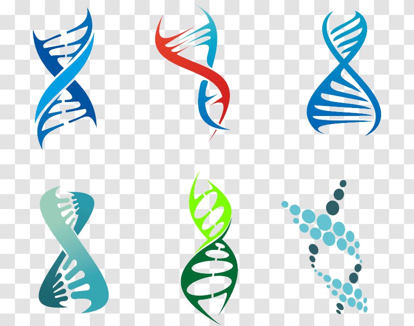 DNA Vector Genetics Royalty-free - Line Transparent PNG