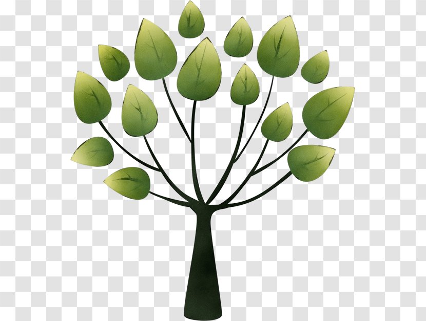 Design Tree Schopp Nutrition And Chiropractic Clinic Alamy - Plant Stem - Bud Tulip Transparent PNG