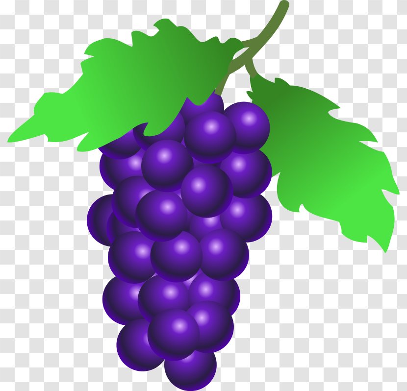 Common Grape Vine Wine Clip Art - Pixabay - Grapes Transparent PNG