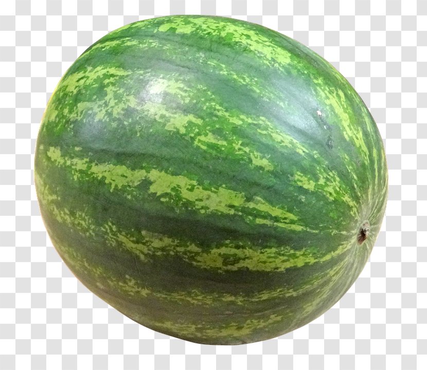 Watermelon Fruit Vegetable - Squash Transparent PNG