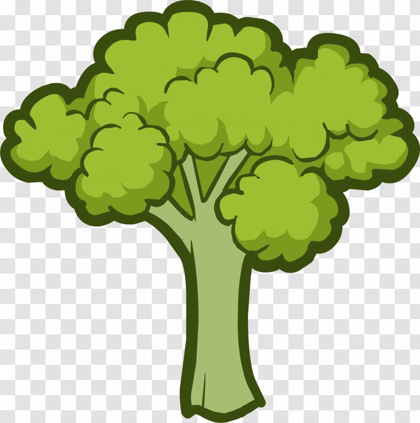 Broccoli Vegetable Lettuce Clip Art - Kale Transparent PNG