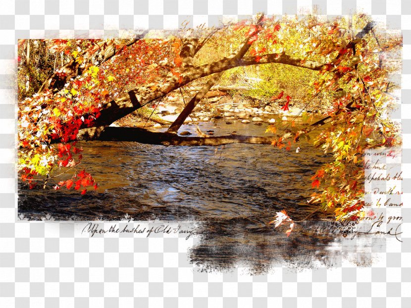 Desktop Wallpaper Autumn Landscape Spring Transparent PNG