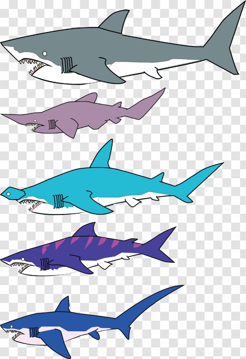 Squaliformes Thresher Shark Tiger Attack Dolphin - Sharks Transparent PNG