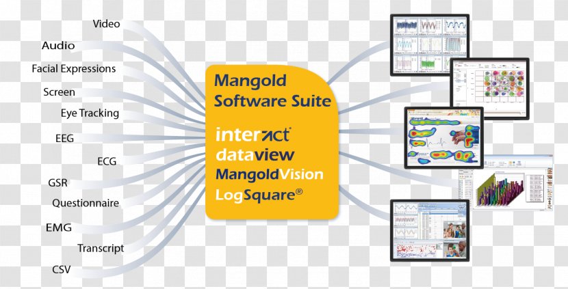 Computer Software Data Analysis System Mangold International GmbH - Text Transparent PNG
