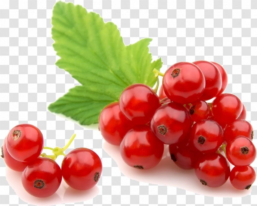 Redcurrant Stock Photography Berries Royalty-free Fruit - Strawberry Transparent PNG