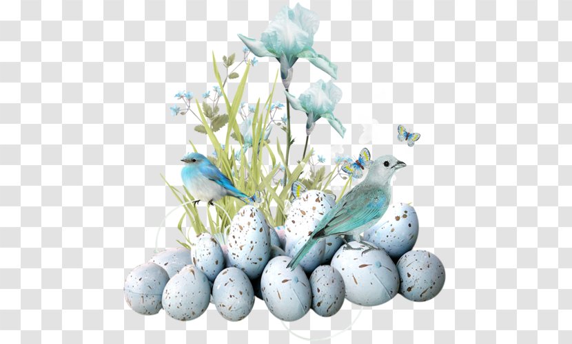 Easter Clip Art - Photographer Transparent PNG