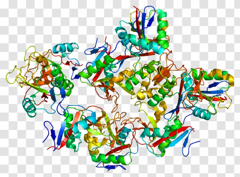 DC-SIGN C-type Lectin Dendritic Cell Cluster Of Differentiation - Heart - Flower Transparent PNG