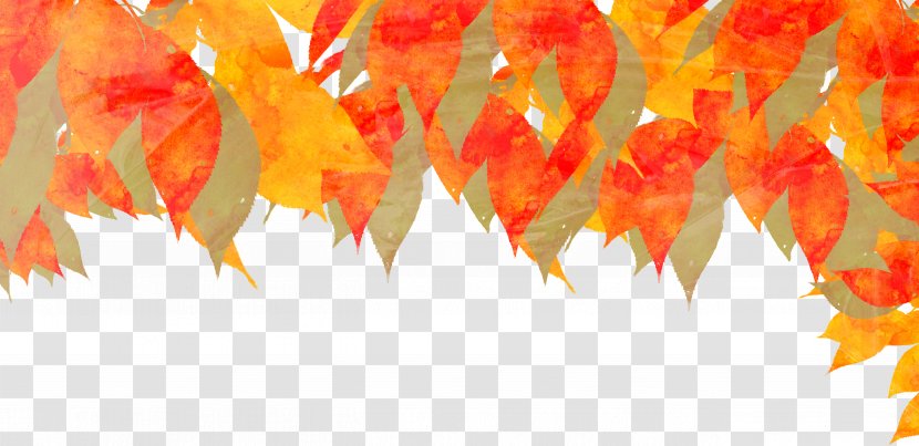 Autumn Watercolor Painting Deciduous Illustration - Petal - Leaf Transparent PNG