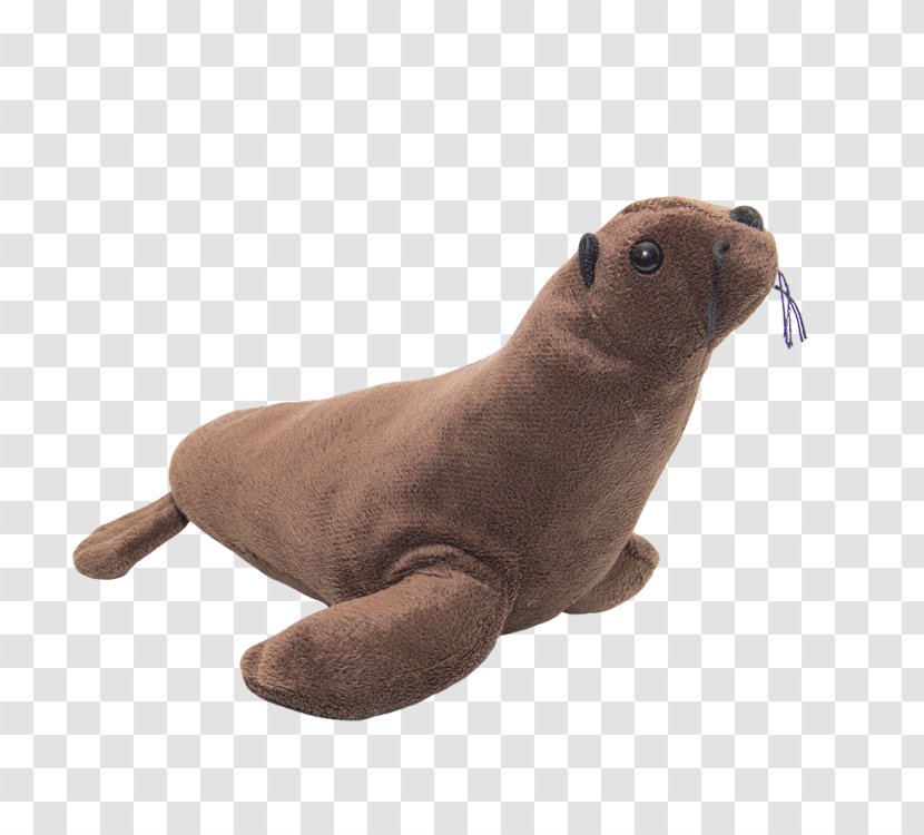 Sea Lion Harbor Seal Pinniped Terrestrial Animal - Seals Transparent PNG