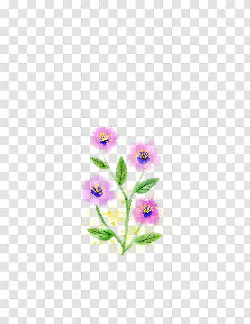 Flower Stem - Wildflower - Pedicel Petal Transparent PNG