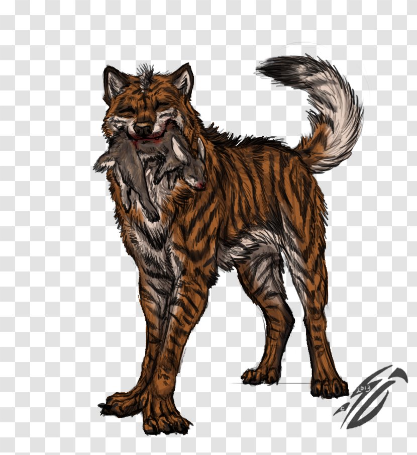 Whiskers Wildcat Canidae Dog - Cat Transparent PNG