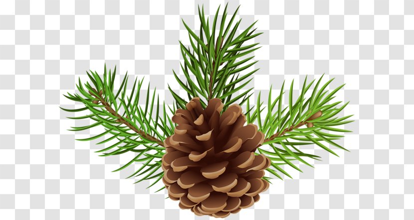 Conifer Cone Clip Art Image Royalty-free - Pinecone Border Transparent PNG