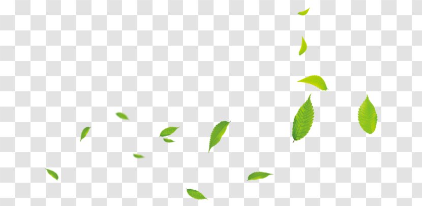 0 Cartoon - Grass - Small Green Leaves Transparent PNG