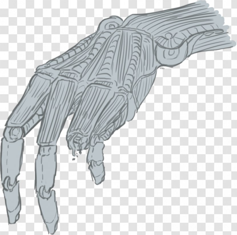 Finger Line Art Angle - Safety Glove - Design Transparent PNG