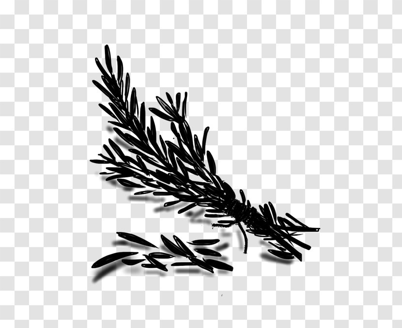 Tree Font Commodity Grasses - Elymus Repens - Plant Transparent PNG