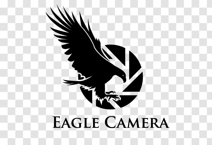 Logo Animal Illustration - Beak - Creative Eagle Flag Transparent PNG