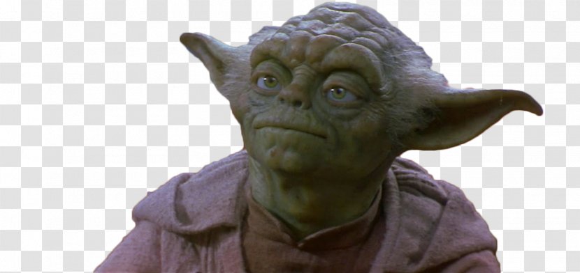 Yoda Chewbacca Star Wars Day Jedi The Force - Fictional Character - Qui Gon Jinn Transparent PNG