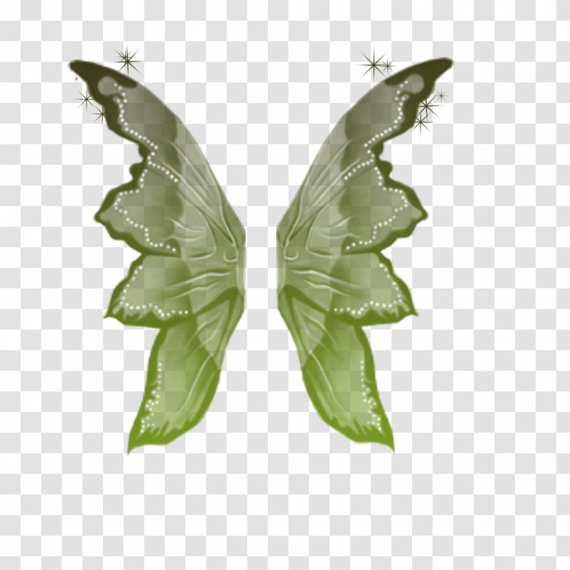 Silkworm Moth Leaf - Raffael Machado Transparent PNG