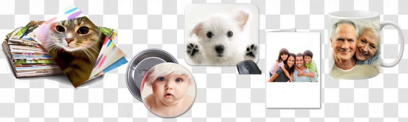 West Highland White Terrier Puppy Product Design Shoe - Brand - Creative Gifts Transparent PNG
