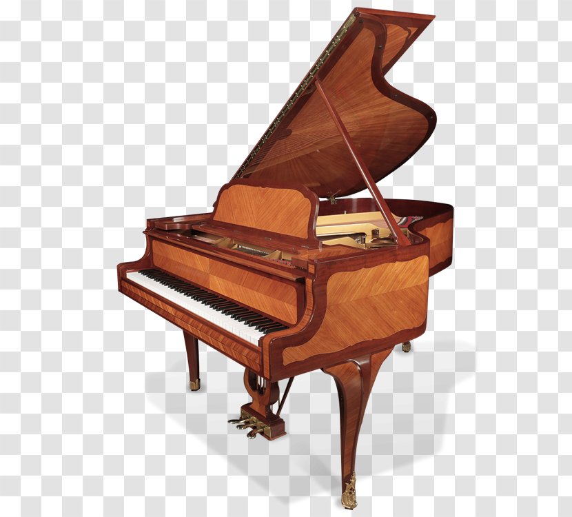 Grand Piano Steinway & Sons Musical Instruments Harpsichord - Cartoon Transparent PNG
