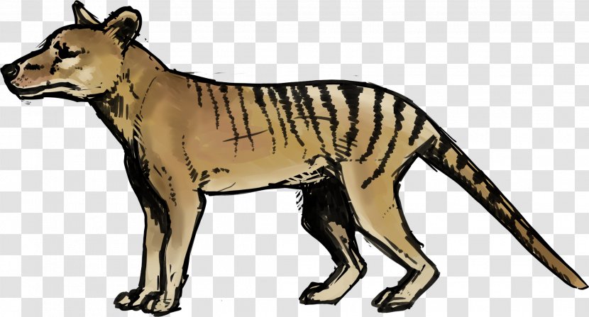 Thylacine Ty The Tasmanian Tiger Image - Carnivore - Holocene Animals Prehistoric Transparent PNG