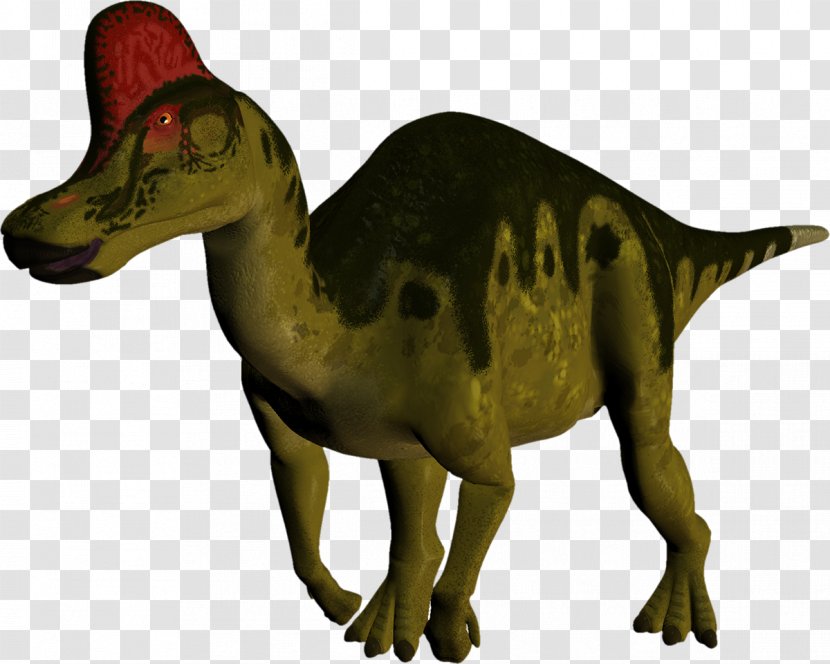 Velociraptor Tyrannosaurus Dinosaur Fauna Extinction - Animal Transparent PNG
