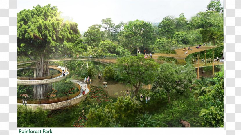 Singapore Zoo Night Safari, River Safari Mandai Park - Landscape - Ecological Transparent PNG