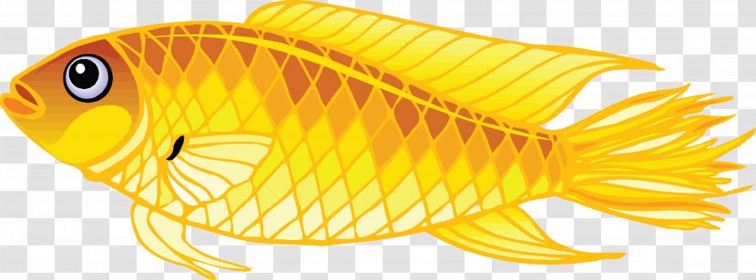 Goldfish Clip Art - Yellow - Gold Fish Image Transparent PNG