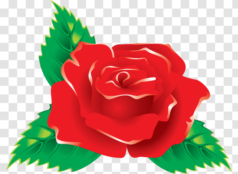 One Flower One Rose Valentines Day Transparent PNG