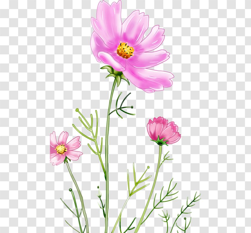 Graphic Design Drawing - User Interface - Flower Transparent PNG