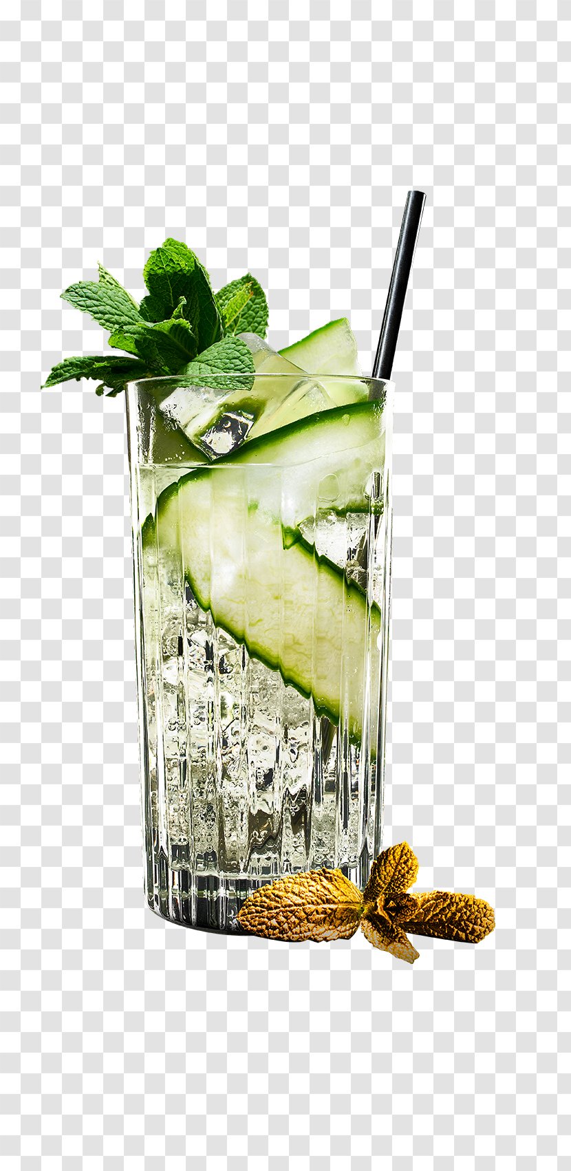 Water Cartoon - Mint Julep - Liqueur Garnish Transparent PNG