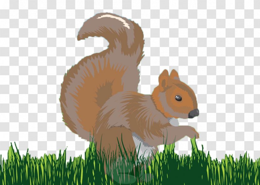 Chipmunk Squirrel Presentation Microsoft PowerPoint - Kangaroo Transparent PNG