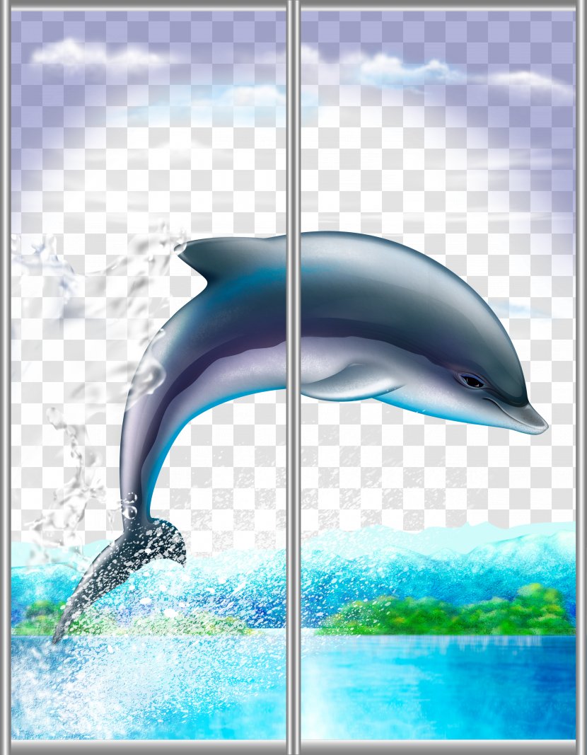 Cartoon Drawing Dolphin - Short Beaked Common - Dolphins Transparent PNG