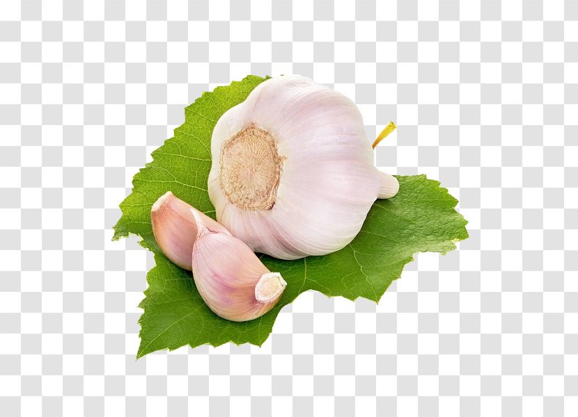 Garlic Download Vegetable - Onion - A Head Of Transparent PNG