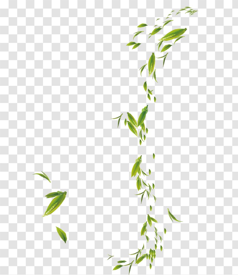 Bamboo Adobe Photoshop Battery Charger Leaf - Grass - Floating Transparent PNG