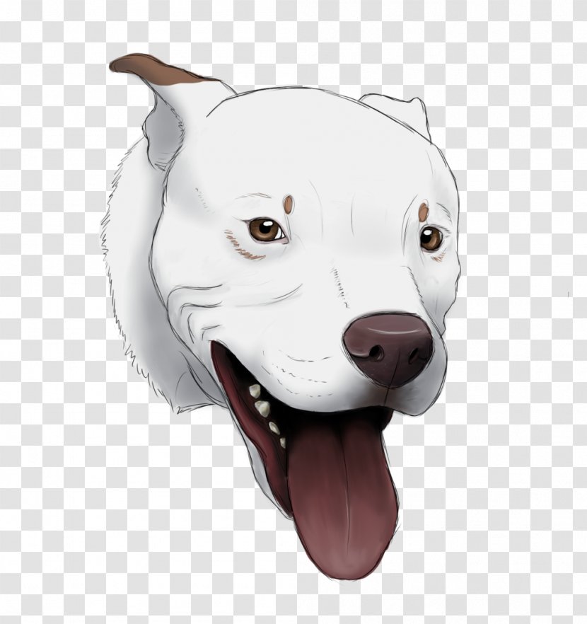 Dog Breed Sporting Group Snout Nose Transparent PNG