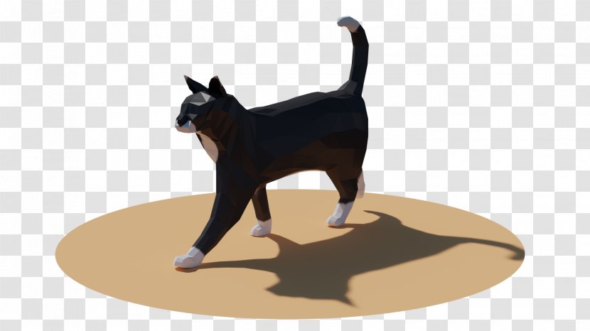 Whiskers Dog Cat Leash Paw - Carnivoran Transparent PNG