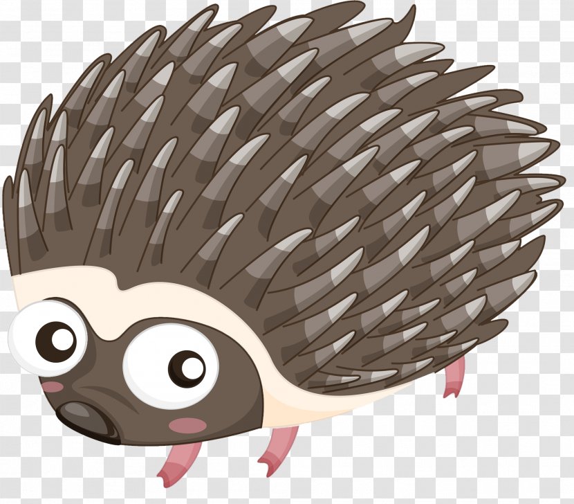 Hedgehog Cartoon Porcupine Illustration - Stock Photography - A Transparent PNG