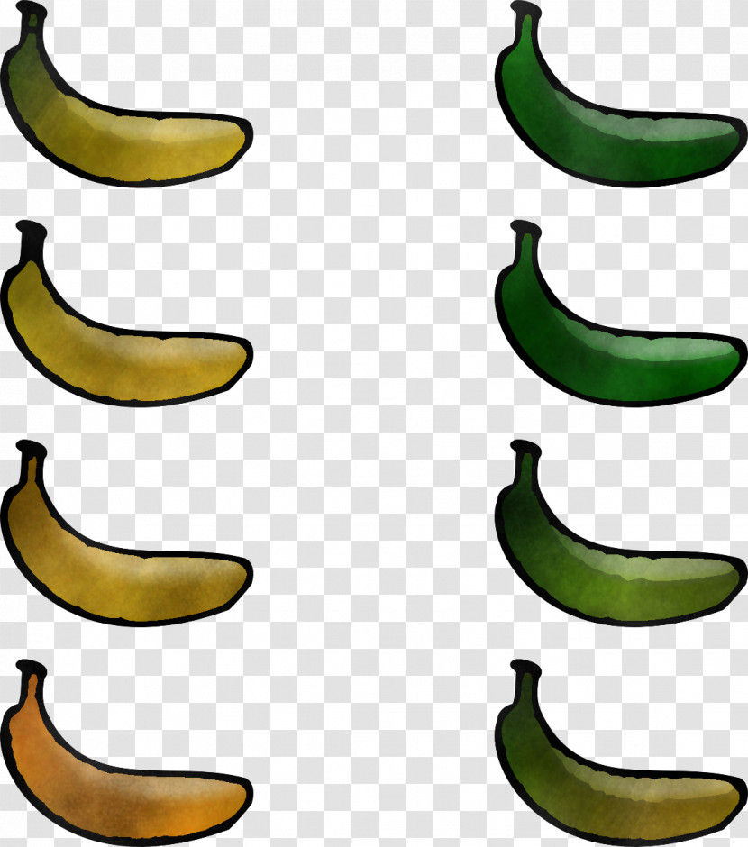 Banana Banana Family Saba Banana Plant Fruit Transparent PNG