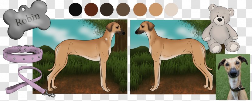 Whippet Italian Greyhound Spanish Dog Breed - Fawn - Border Collie Mix Transparent PNG